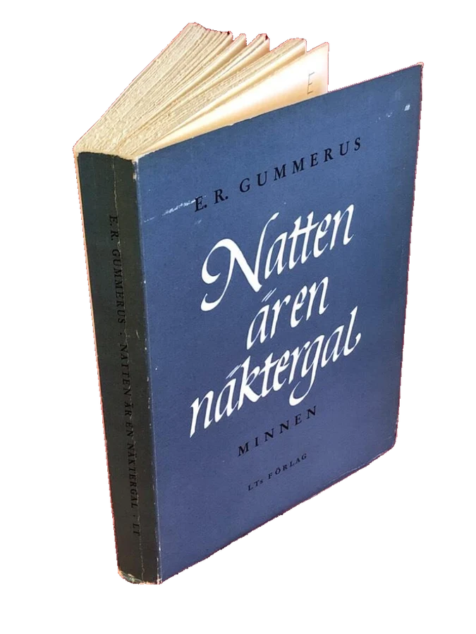 Bild 2 av 3: boken fritt placerad