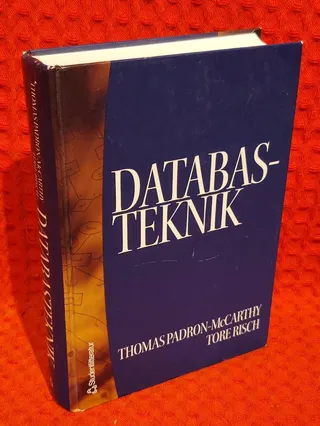 Databasteknik av Thomas Padron-McCarthy - omslag