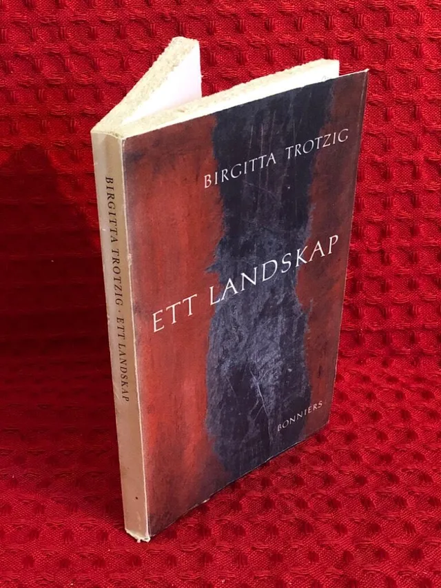 Ett landskap av Birgitta Trotzig - omslag