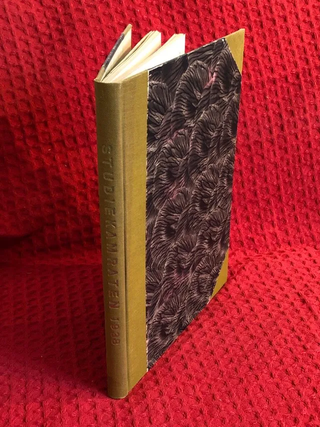 Studiekamraten: Tidning för det fria och frivilliga bildningsarbetet 1938 - omslag