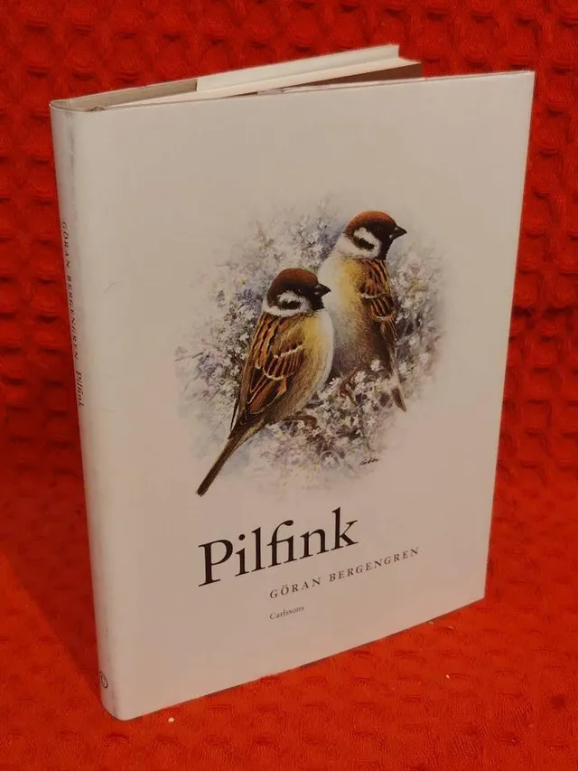 Pilfink av Göran Bergengren - omslag