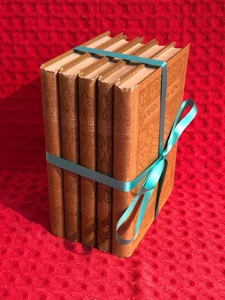 Bokpaket: Dombey & Son del I-V (1-5) av Charles Dickens av Charles Dickens - omslag
