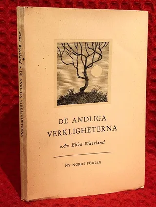 De andliga verkligheterna av Ebba Waerland - omslag