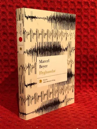 Flyghundar av Marcel Beyer - omslag