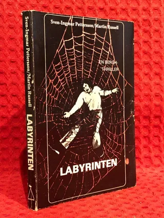 Labyrinten av Sven-Ingmar Pettersson - omslag