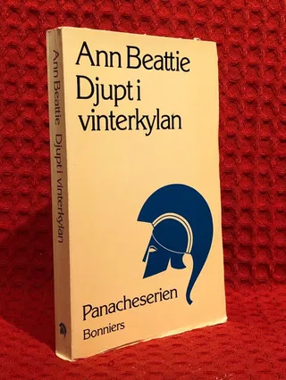Djupt i vinterkylan av Ann Beattie - omslag