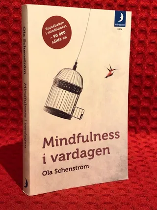 Mindfulness i vardagen : Vägar till medveten närvaro av Ola Schenström - omslag