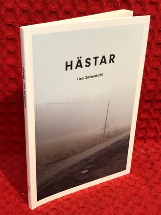 Hästar av Lisa Zetterdahl - omslag
