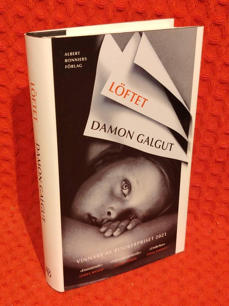 Löftet av Damon Galgut - omslag