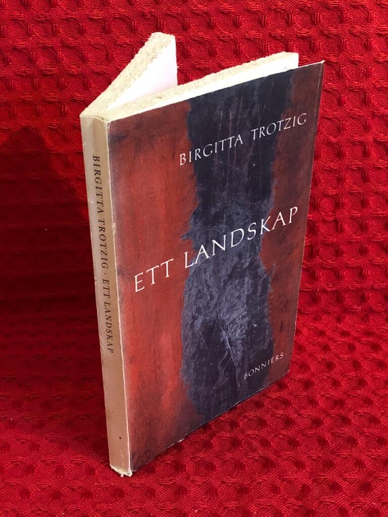 Ett landskap av Birgitta Trotzig - omslag