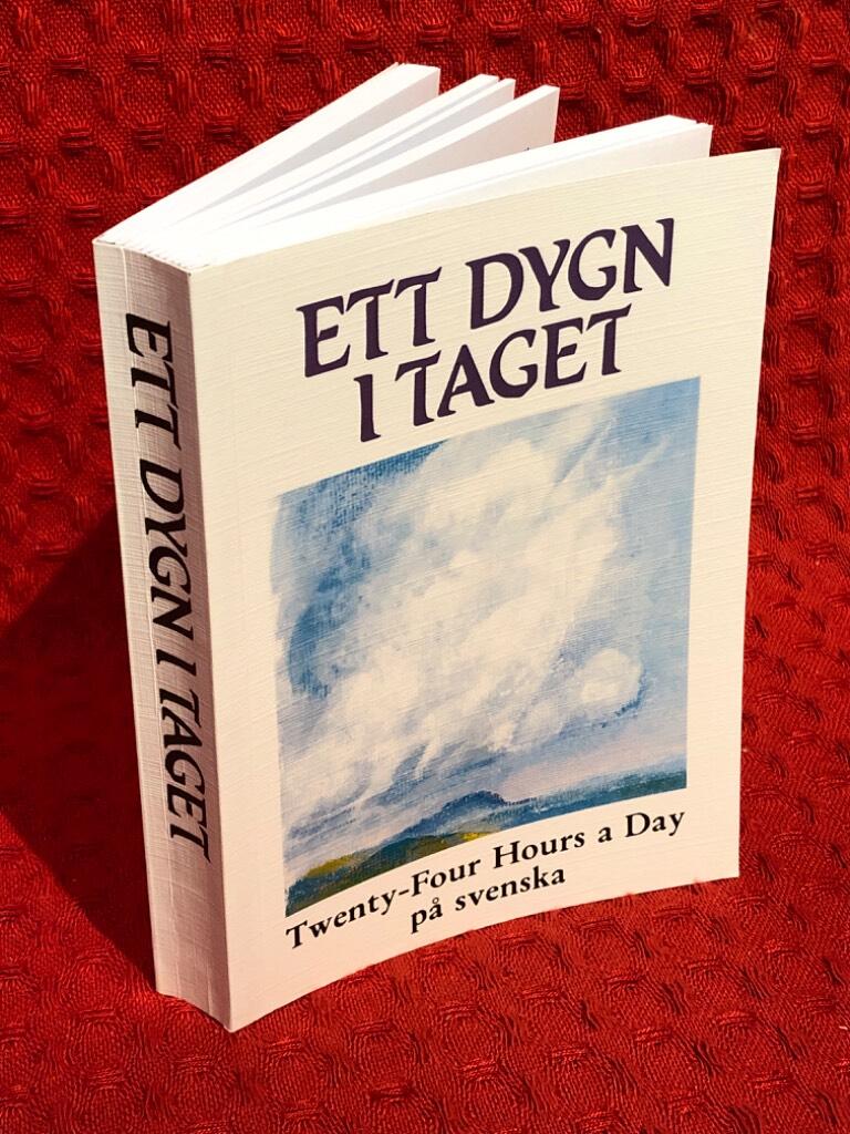 Ett Dygn i Taget av Gerd Mellvig-Ahlström - omslag