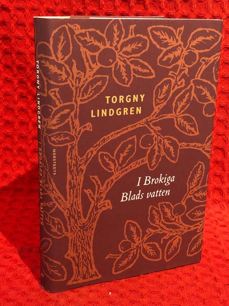 I Brokiga Blads vatten : Figurer av Torgny Lindgren - omslag