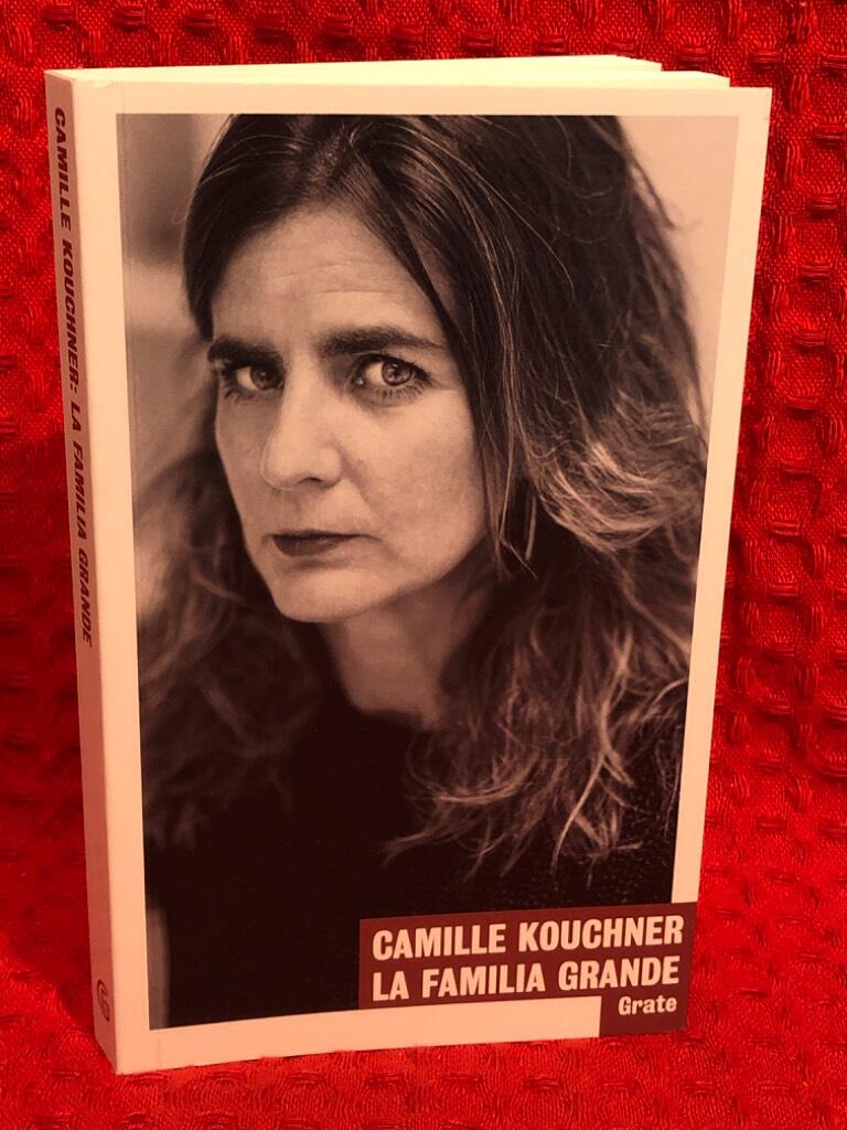 La familia grande av Camille Kouchner - omslag