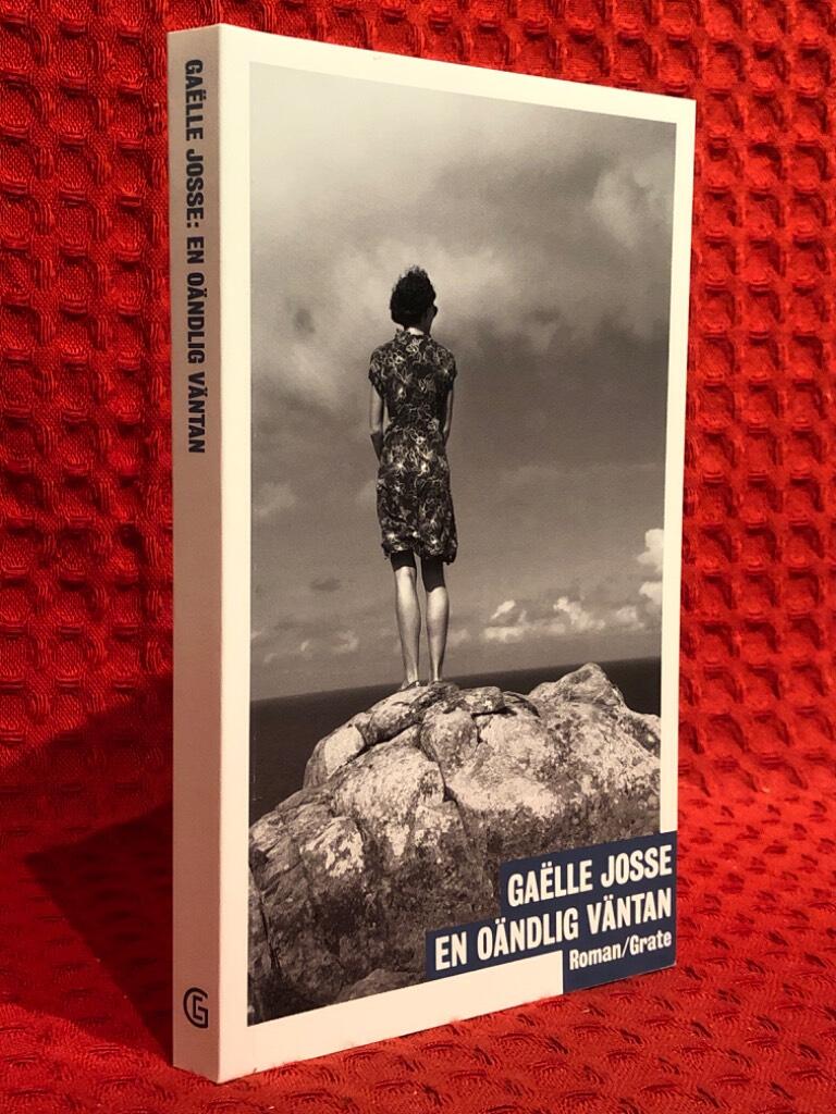 En oändlig väntan av Gaëlle Josse - omslag