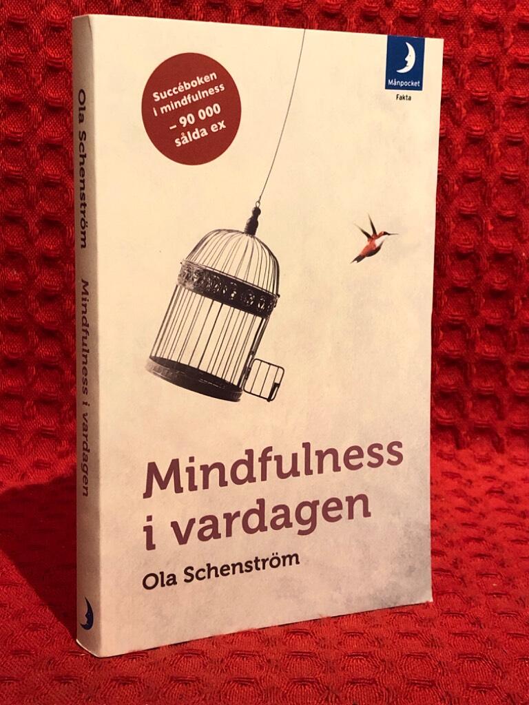 Mindfulness i vardagen : Vägar till medveten närvaro av Ola Schenström - omslag