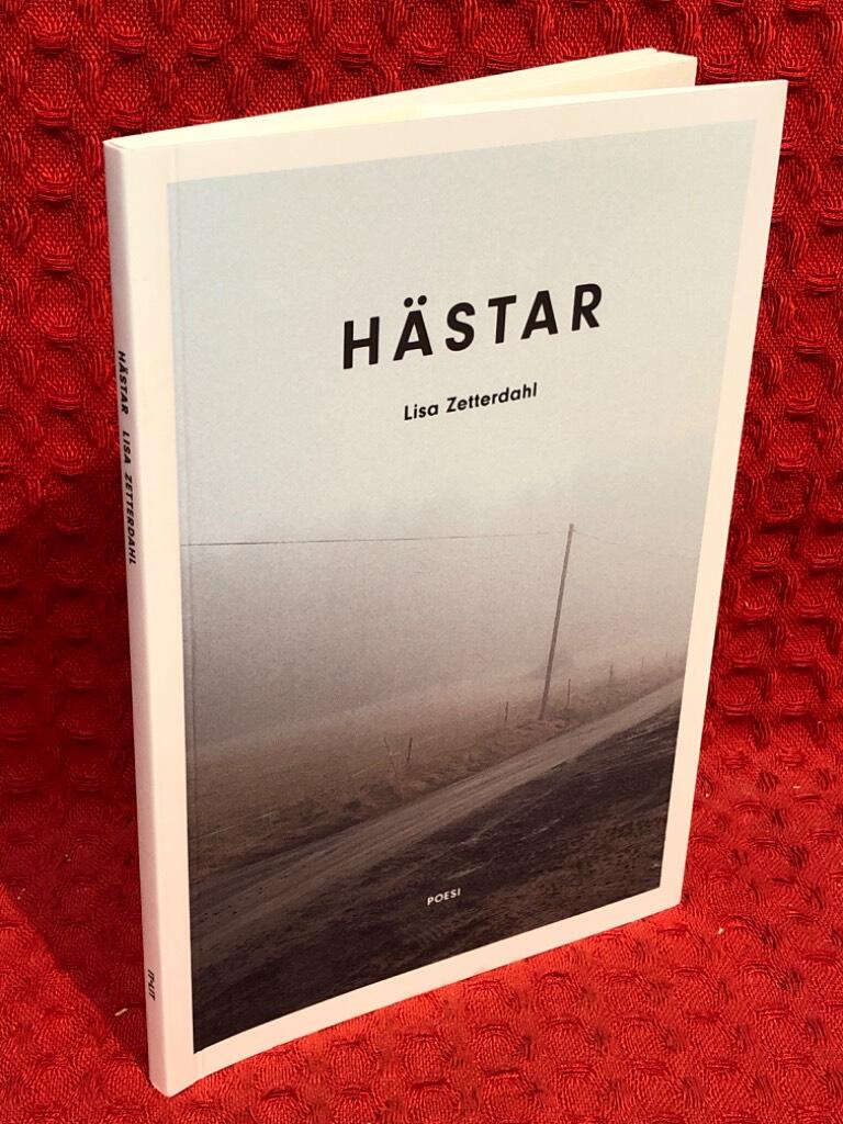 Hästar av Lisa Zetterdahl - omslag